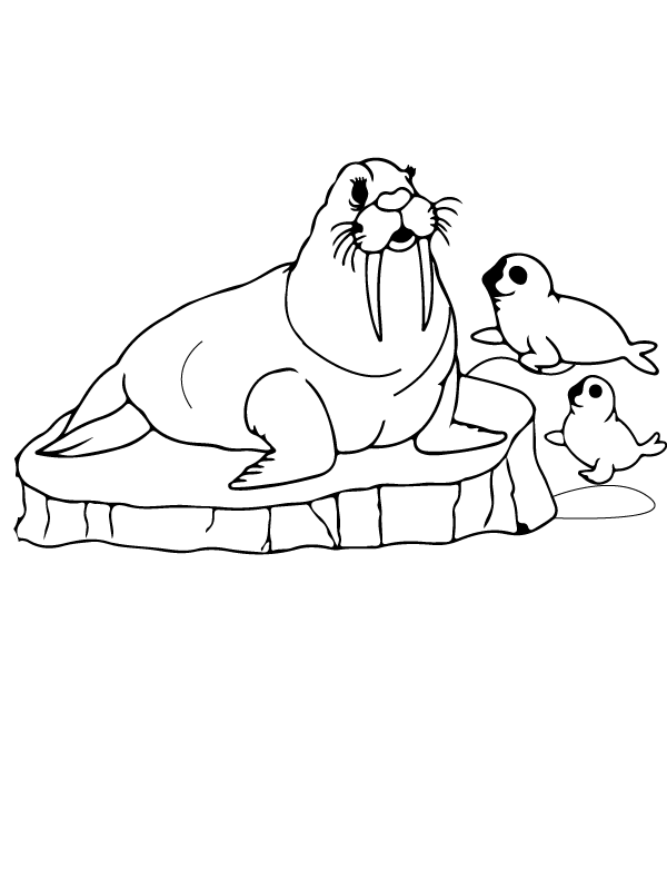 Walrussen en kalveren arctische dieren