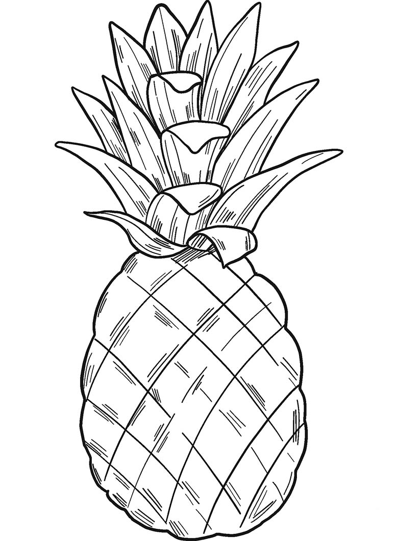 Ananas afbeelding 5