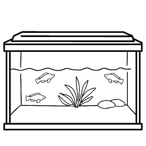 Aquarium afbeelding 1