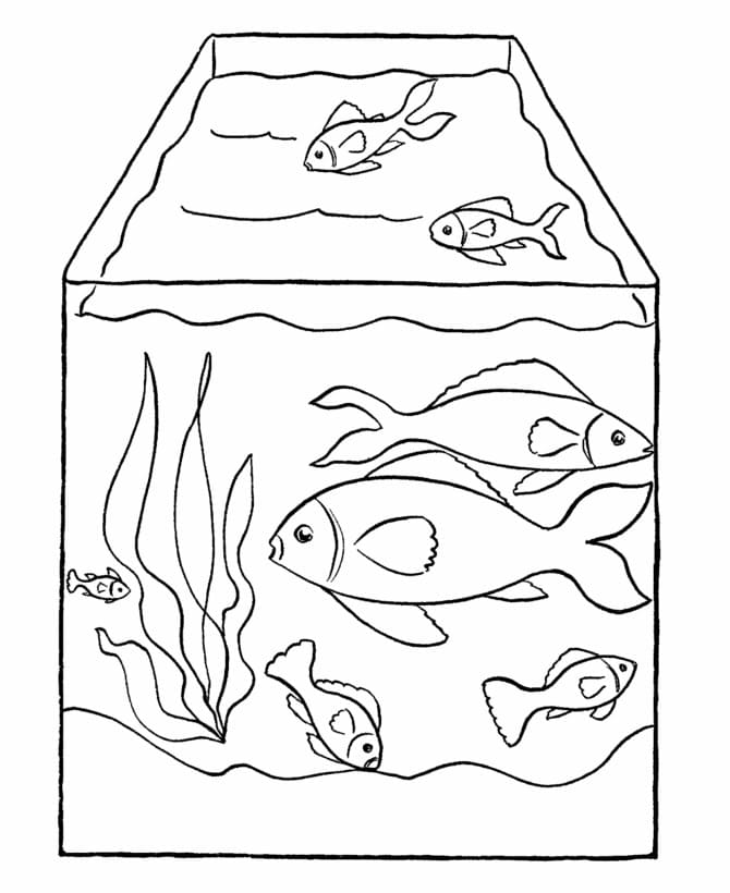 Aquariumtank