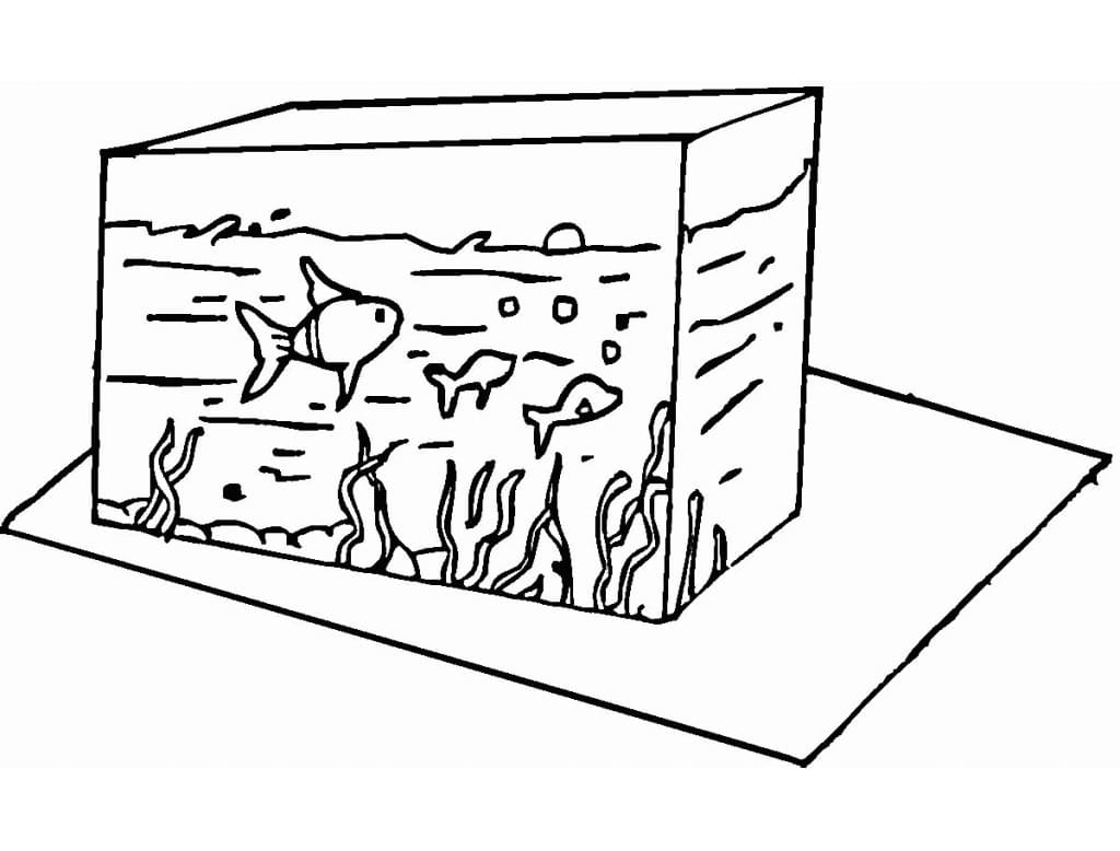 Eenvoudig aquarium