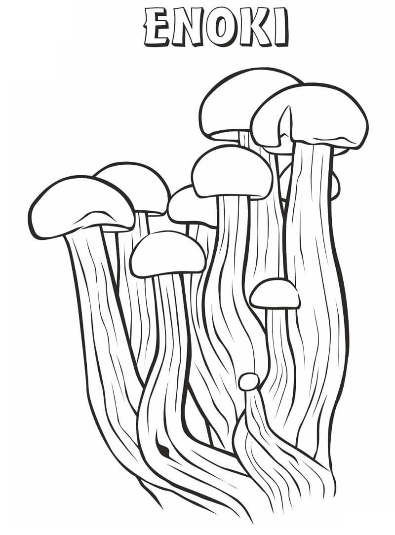 Enoki-champignons