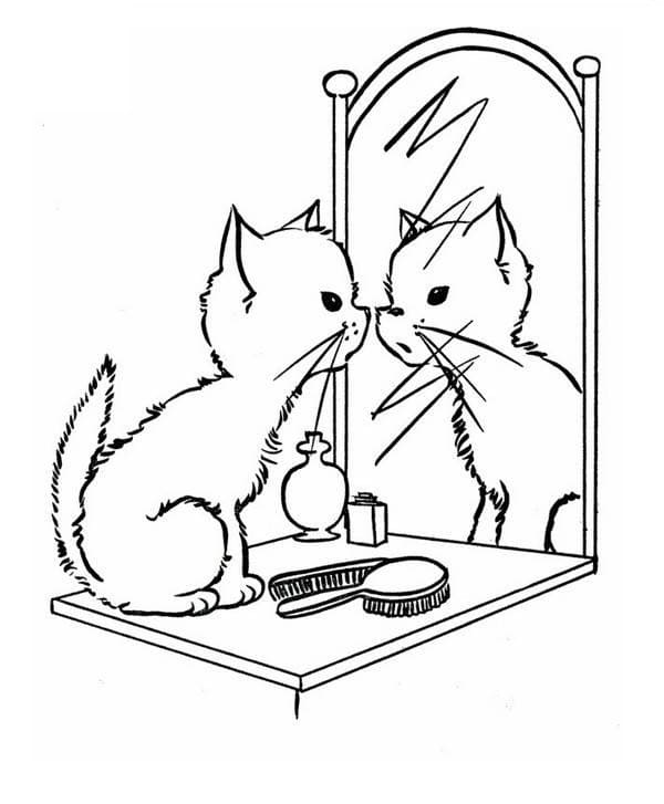 Kat in spiegel