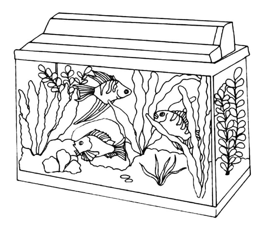 Klein aquarium