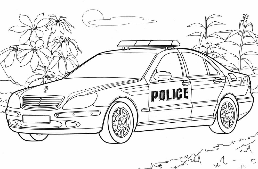 Politieauto voor