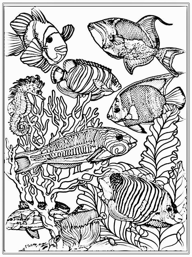 Vissen In Aquarium