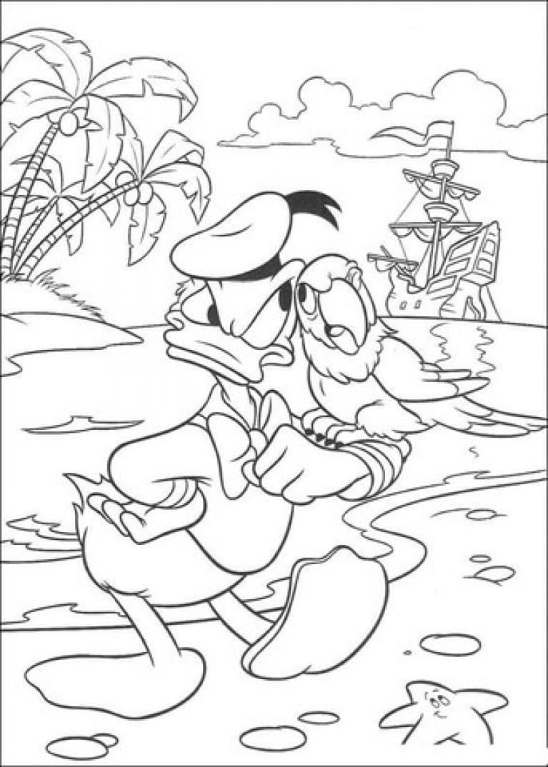 Piraat Donald met een papegaai