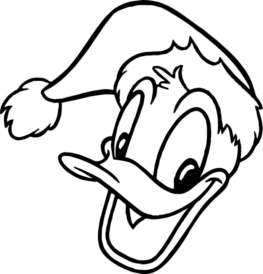 Donald Duck met kerstmuts