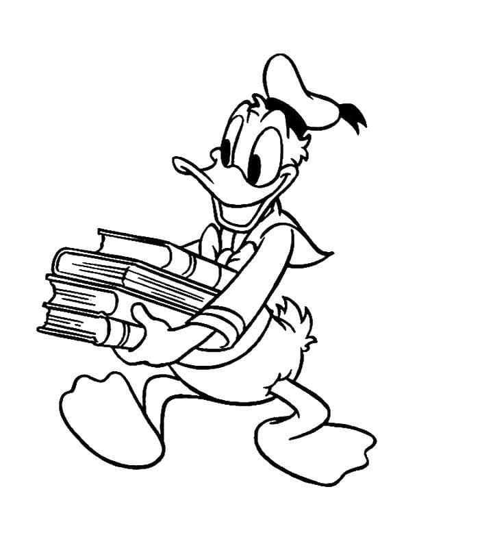 Het nieuwe plan van Donald Duck