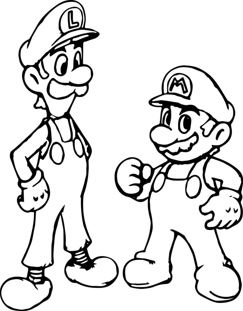 Tall Luigi en zijn avonturierbroer Mario.
