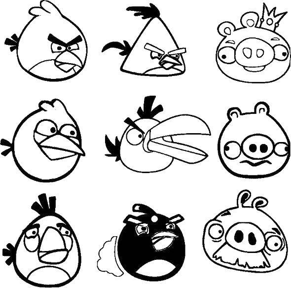 Zes personages uit het spel Angry Birds