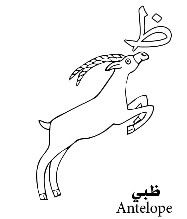 Brief Dha Is Voor Antilope Arabische Alfabetkleuring