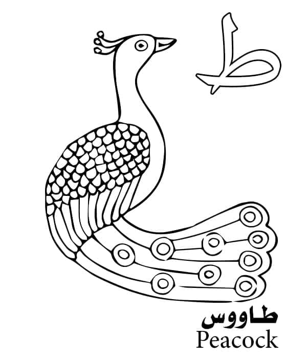 Brief Dha Is Voor Pauw-Arabische Alfabet Kleuring