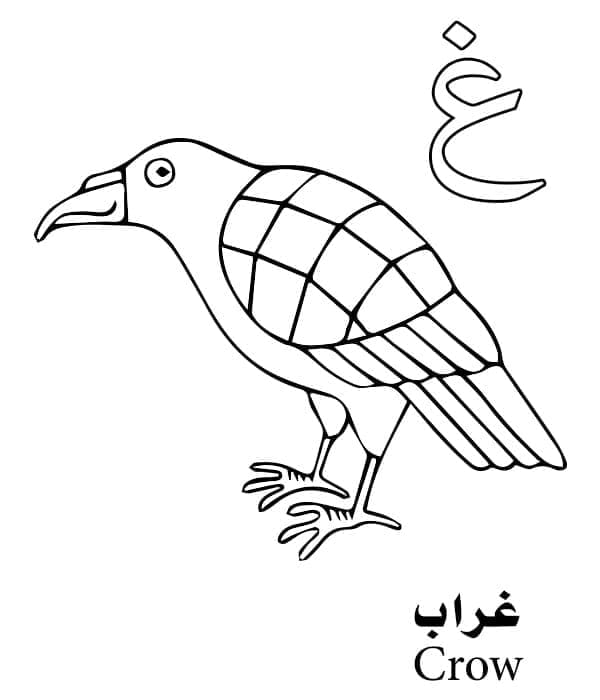 De Brief Ghain Is De Arabische Alfabetkleur Van Vogel