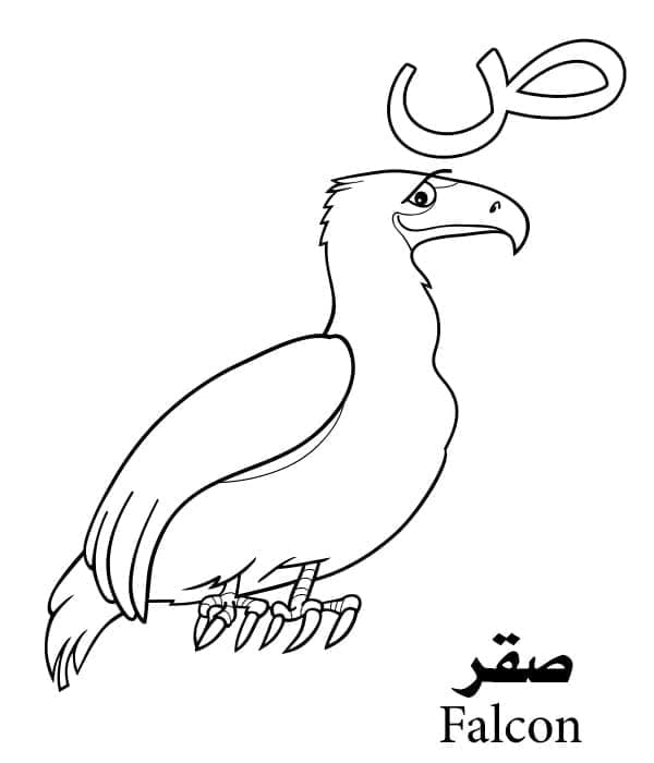 Deze Brief Is De Kleur Van Het Arabische Alfabet Van de valk