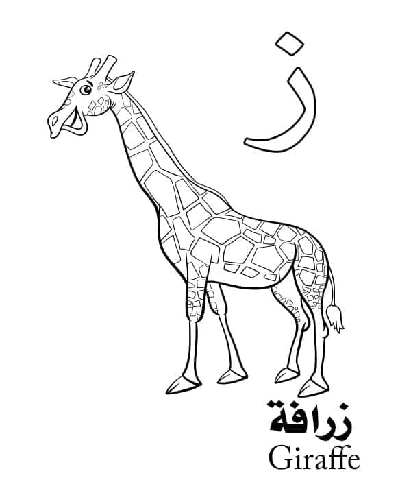 Letter Is Voor Giraffe Arabische Alfabetkleuring