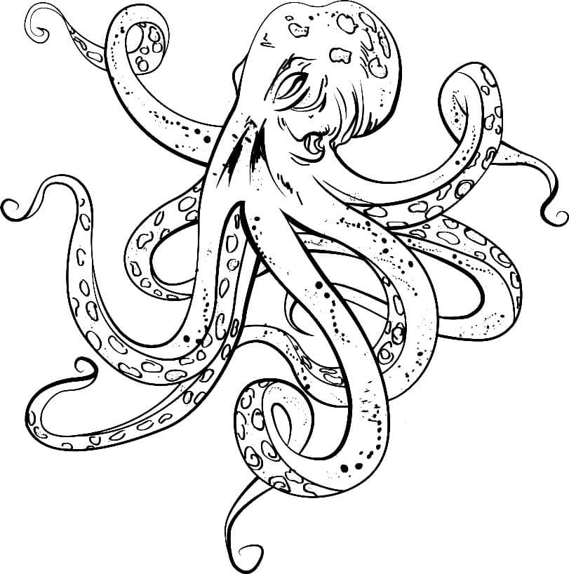 Basis Octopus