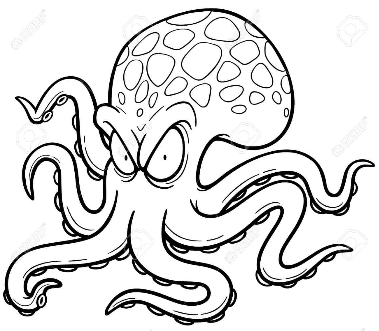 Boze Octopus