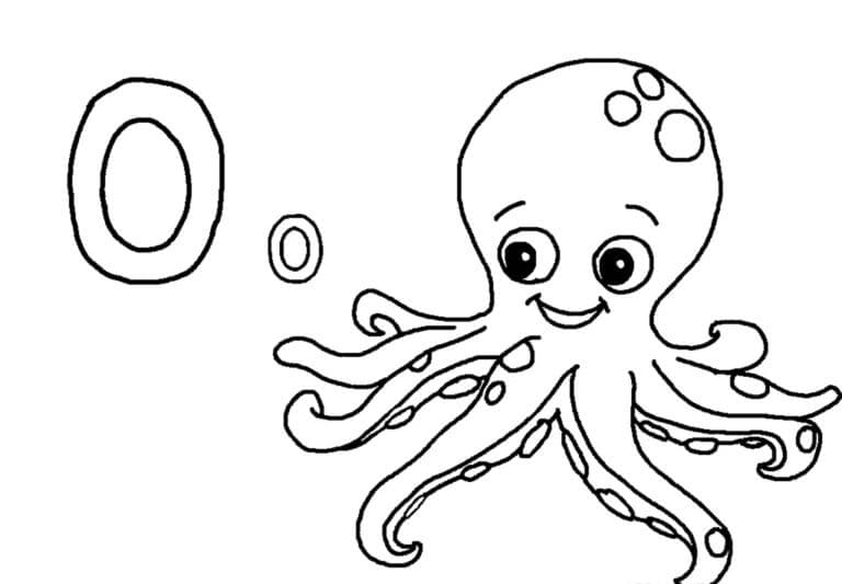 Brief O En Leuke Octopus