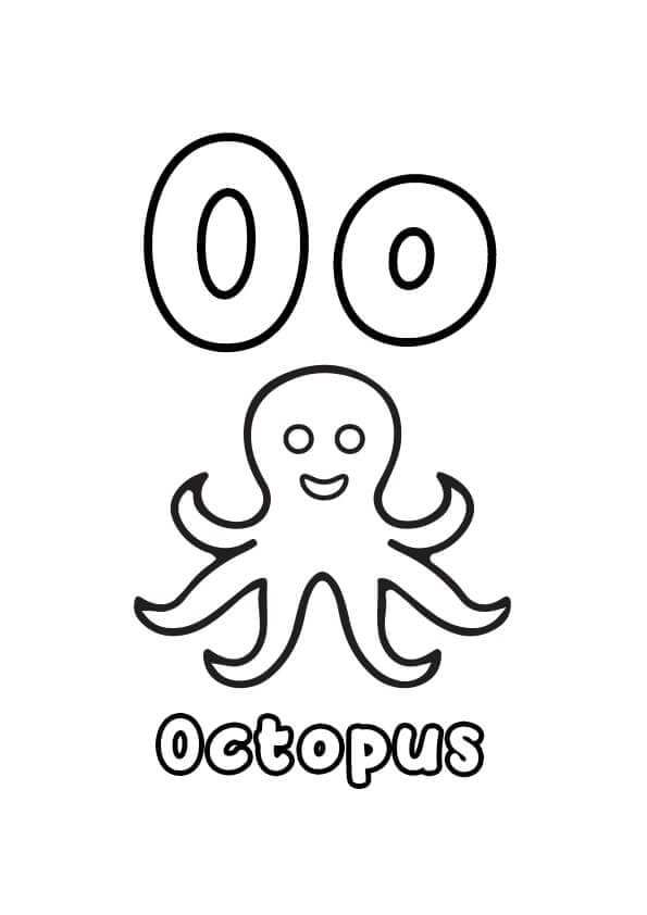 Brief O En Octopus