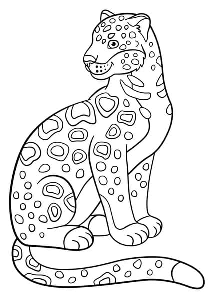 Een Jaguar