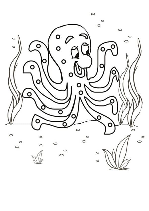 Grappige Octopus In De Zee
