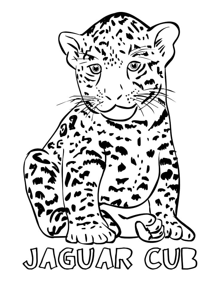 Jaguar Afdrukbaar