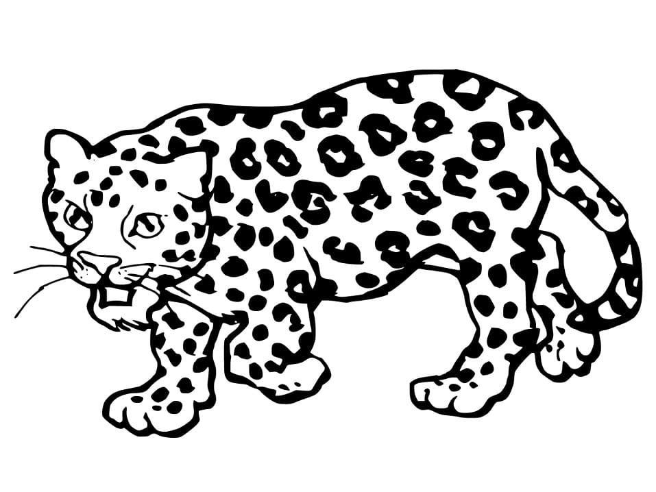 Jaguar Woest