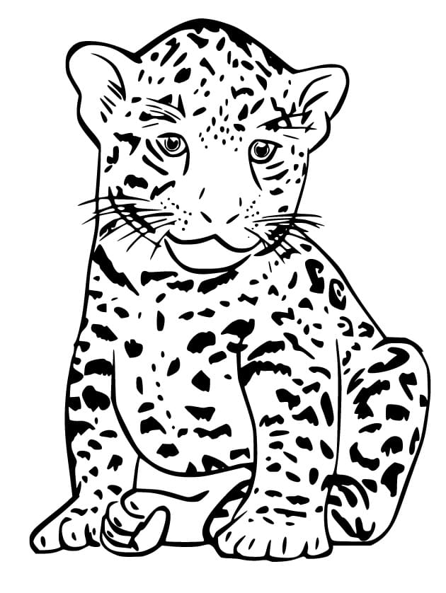 Kleine Jaguar