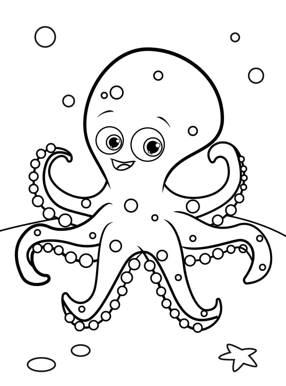 Leuke Octopus Met Zeester