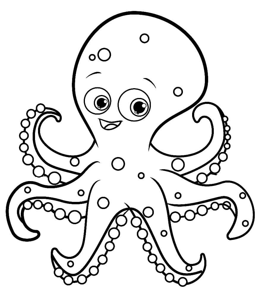 Leuke Schattige Octopus