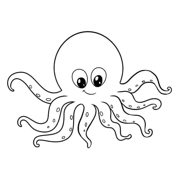 Mooie Octopus