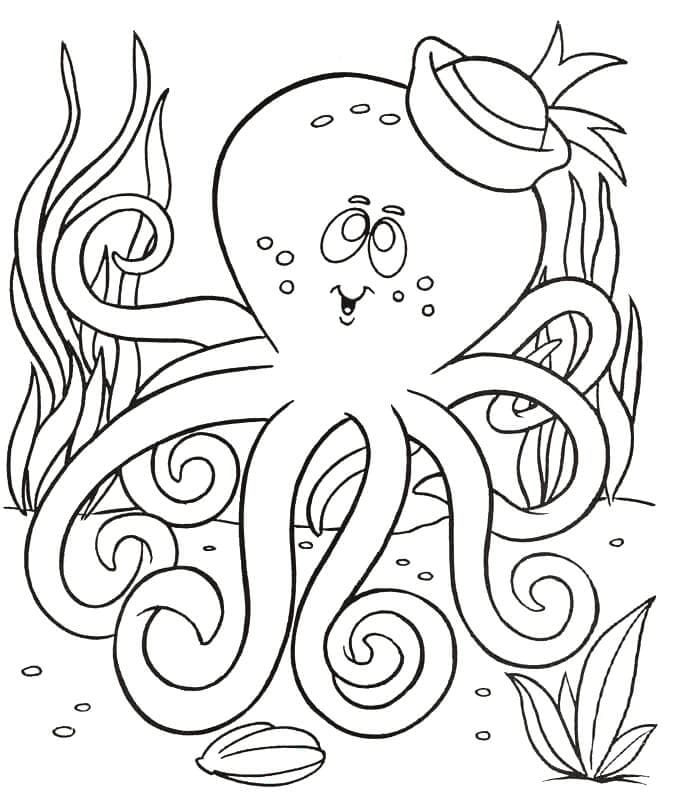 Octopus Gratis Afbeeldingen Schattig