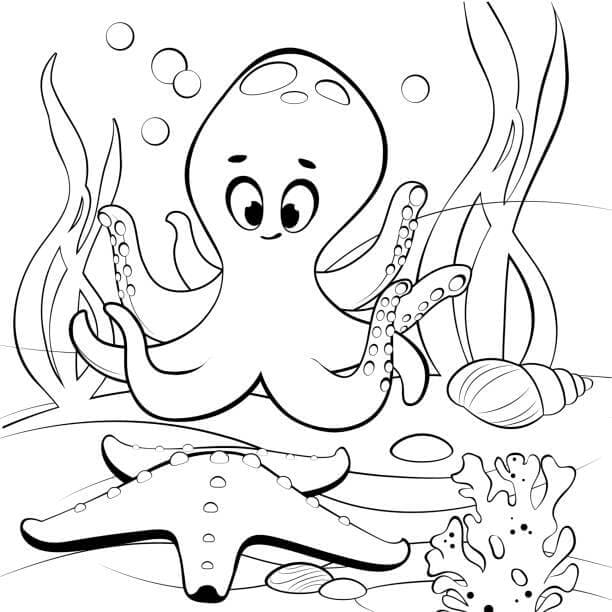 Octopus Met Zeedier