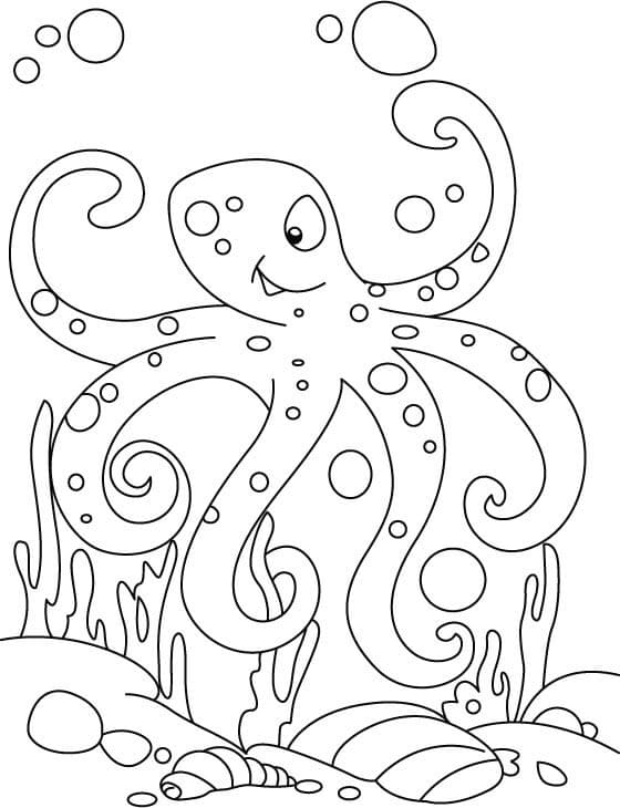 Octopussen Gratis Downloaden