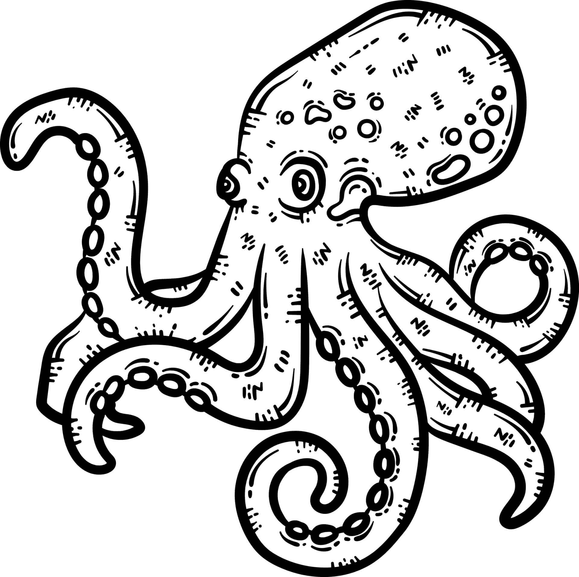 Octopussen Tekenen