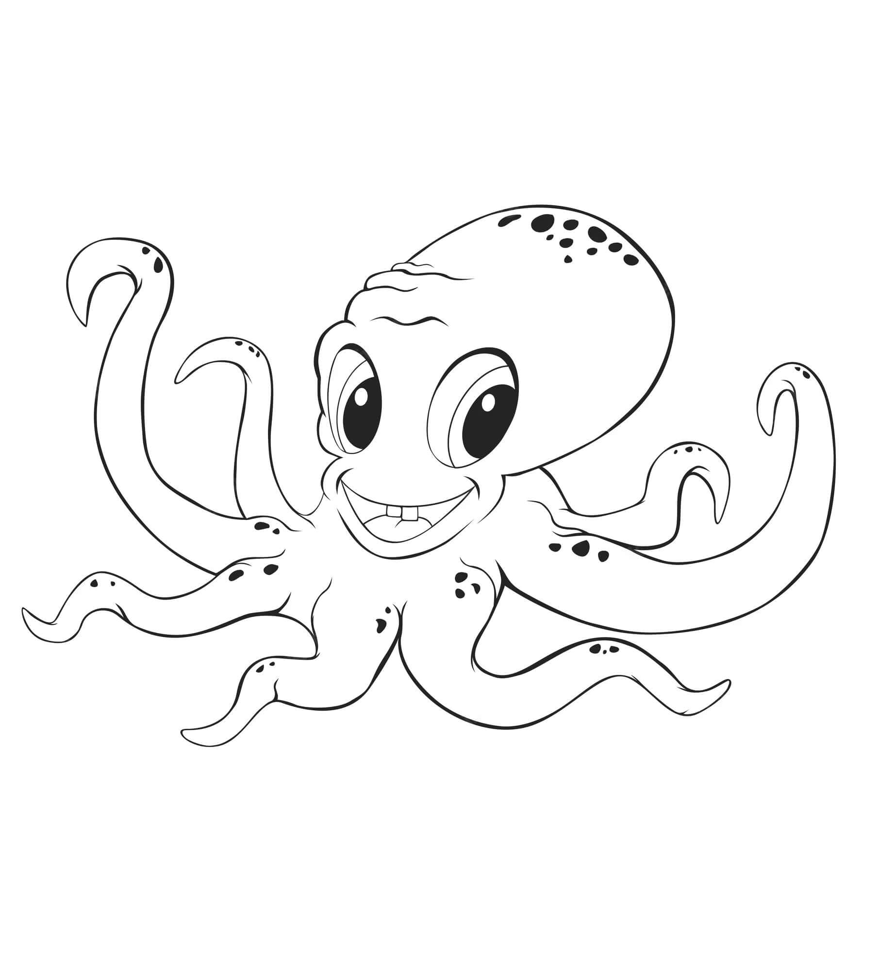 Rode Octopus