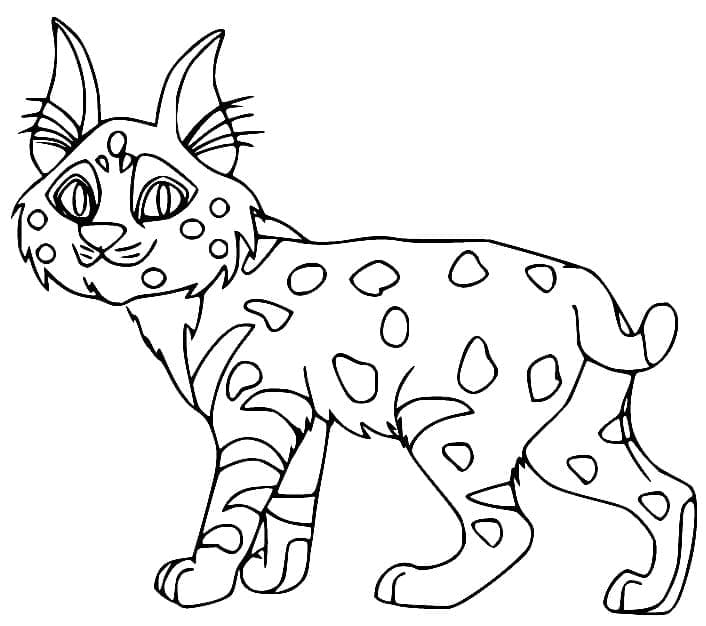 Behoorlijk Lynx Schattig