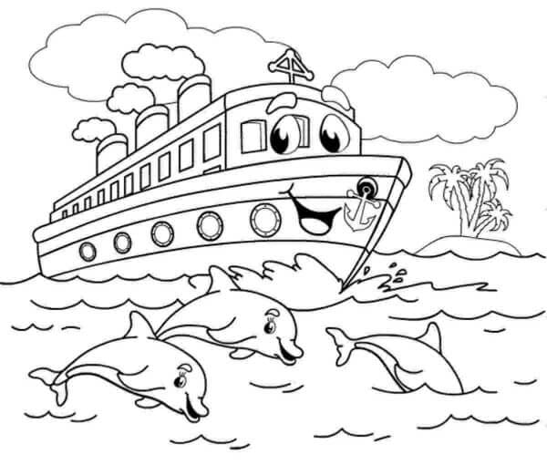 Dolfijnen Genieten Van De Vrolijke Boot