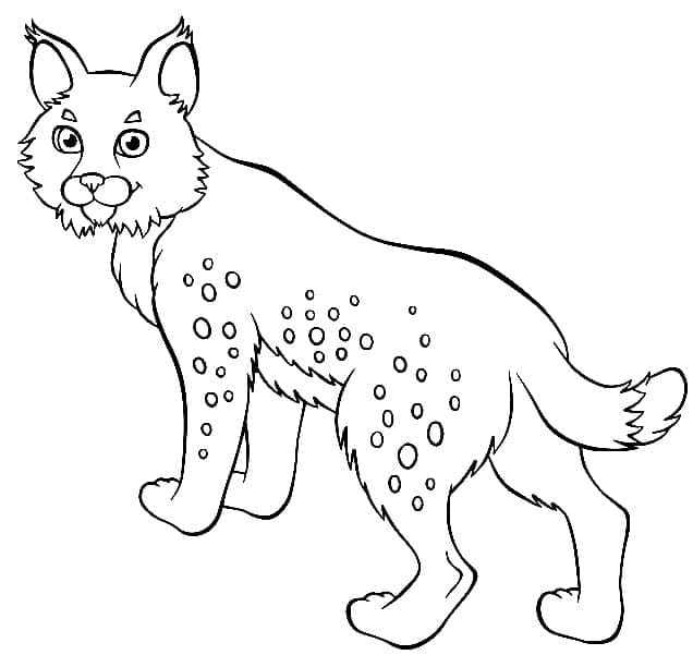 Een Vrolijke Lynx