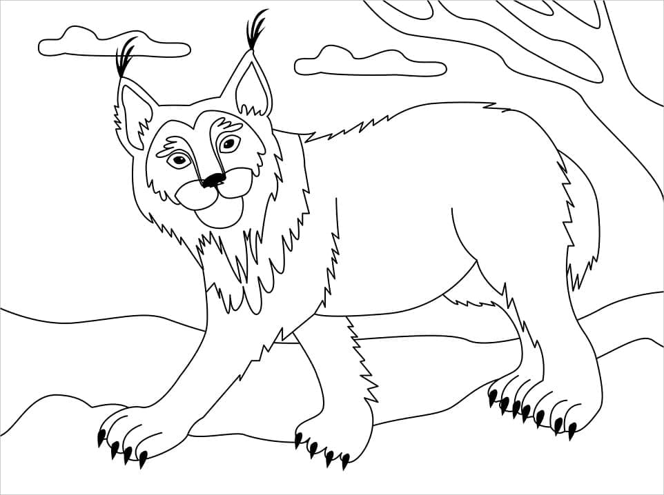Heel Simpel Lynx