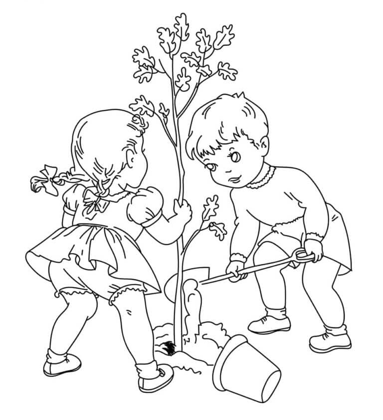 Kinderen Planten Bomen