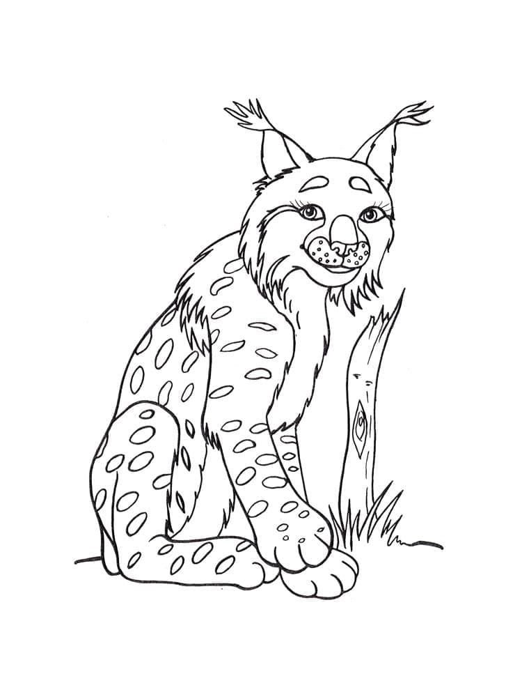 Lachende Lynx