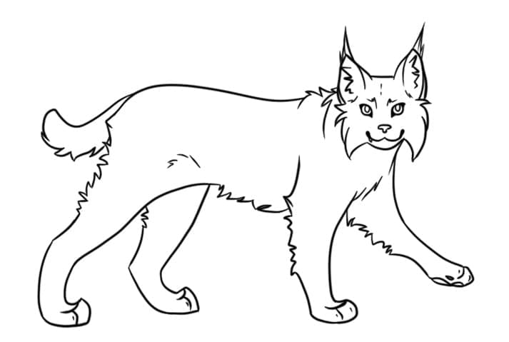Lynx Gratis Afdrukbaar