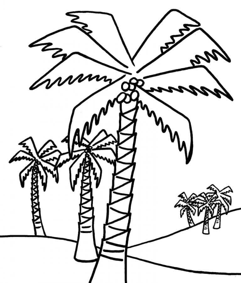Zes Kokospalmen