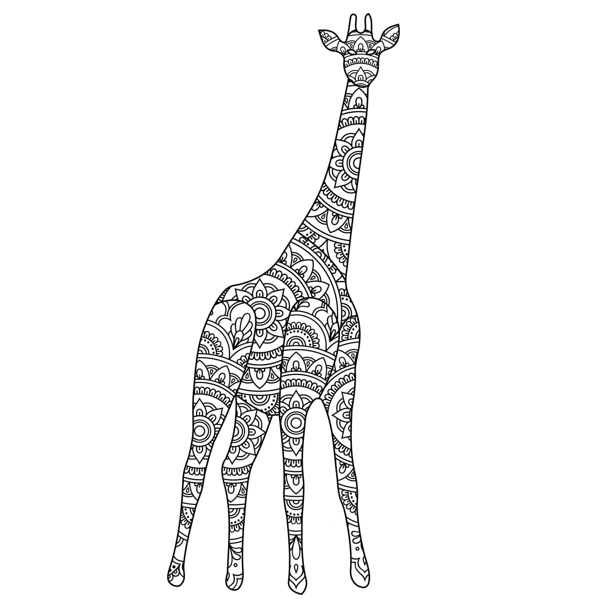 Basis Giraffe Mandala