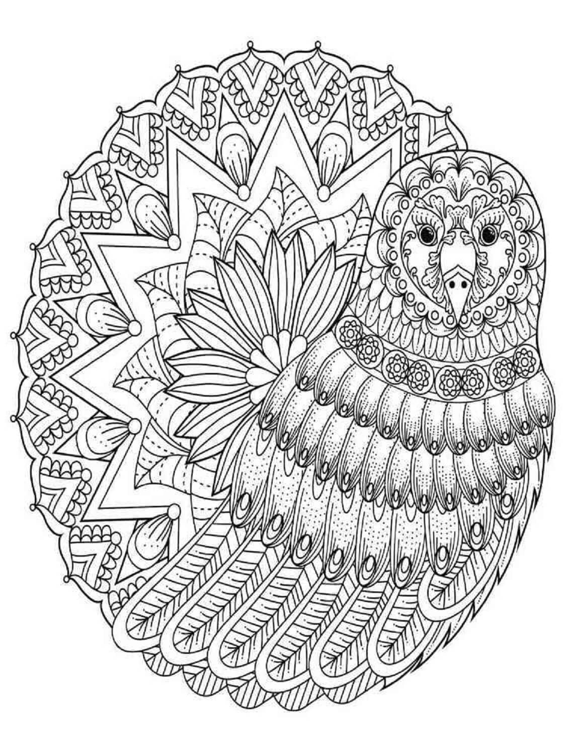 Basis Vogel Mandala