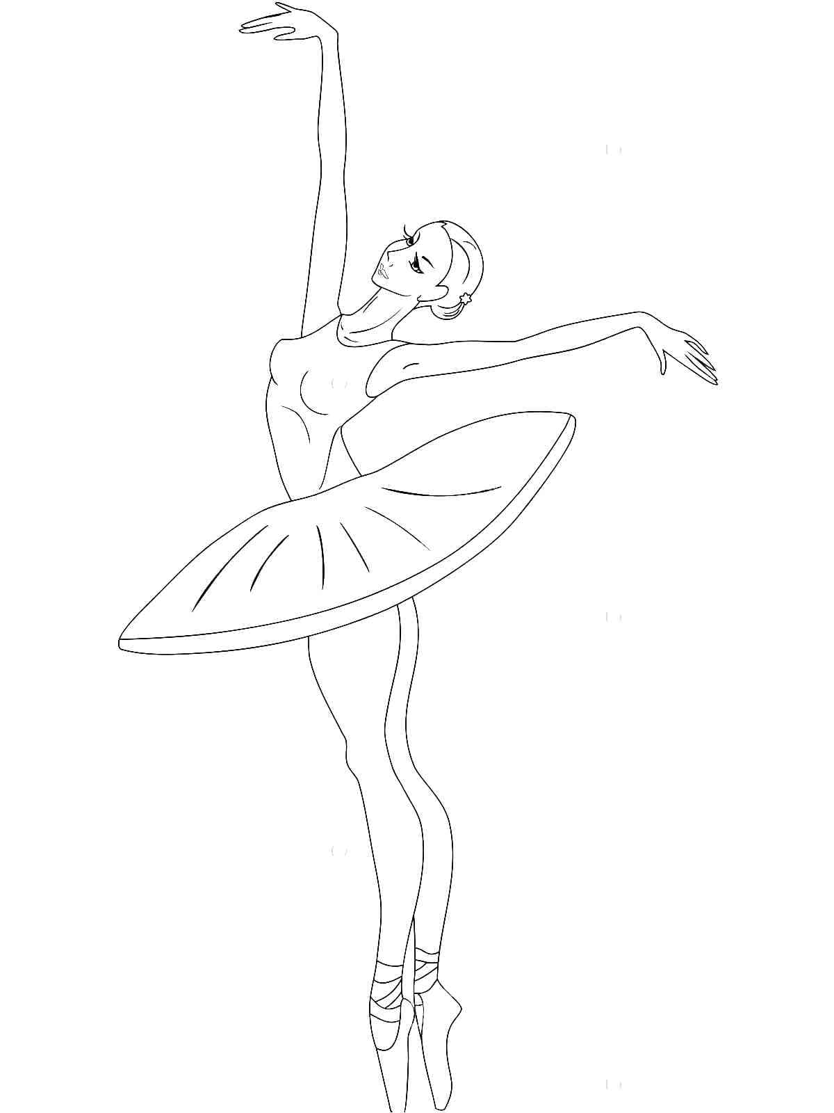 Geweldige Balletdanser