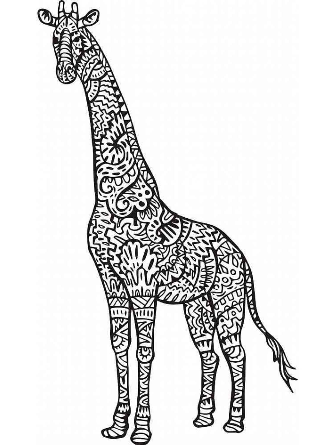 Grote Giraffe Mandala