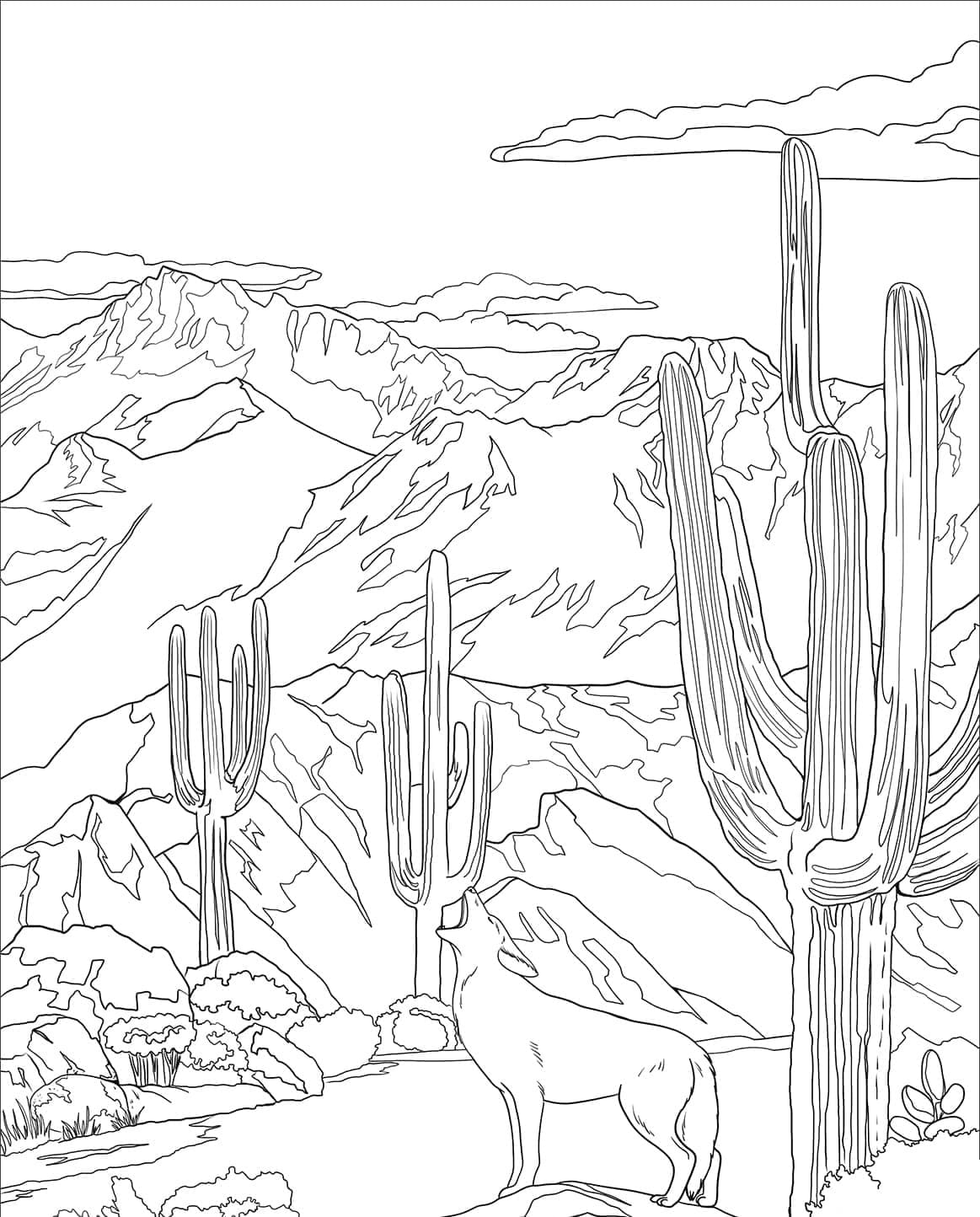 Nevada Woestijn